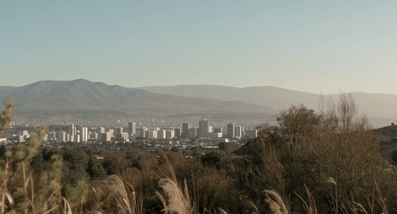 City skyline and hazy mountains beyond dry grasses and brush.