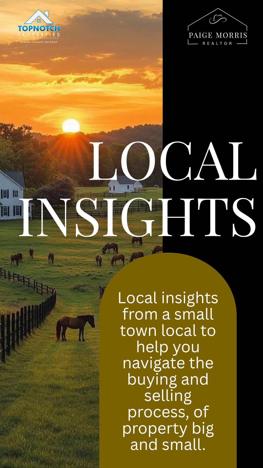 Local Lending Insights