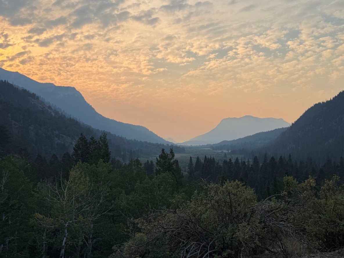 Driving Into the Wild: A Sensory Journey Along Old Fall River Road