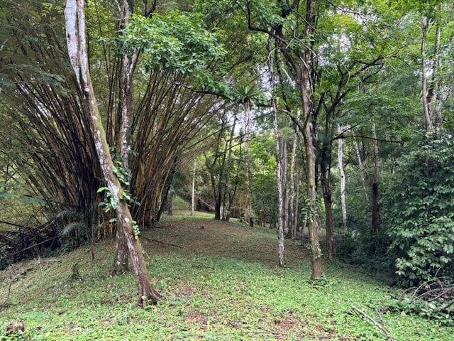 17.85 ACRES – Stunning Large Land With 2 Waterfalls Near Dominical Beach!!!