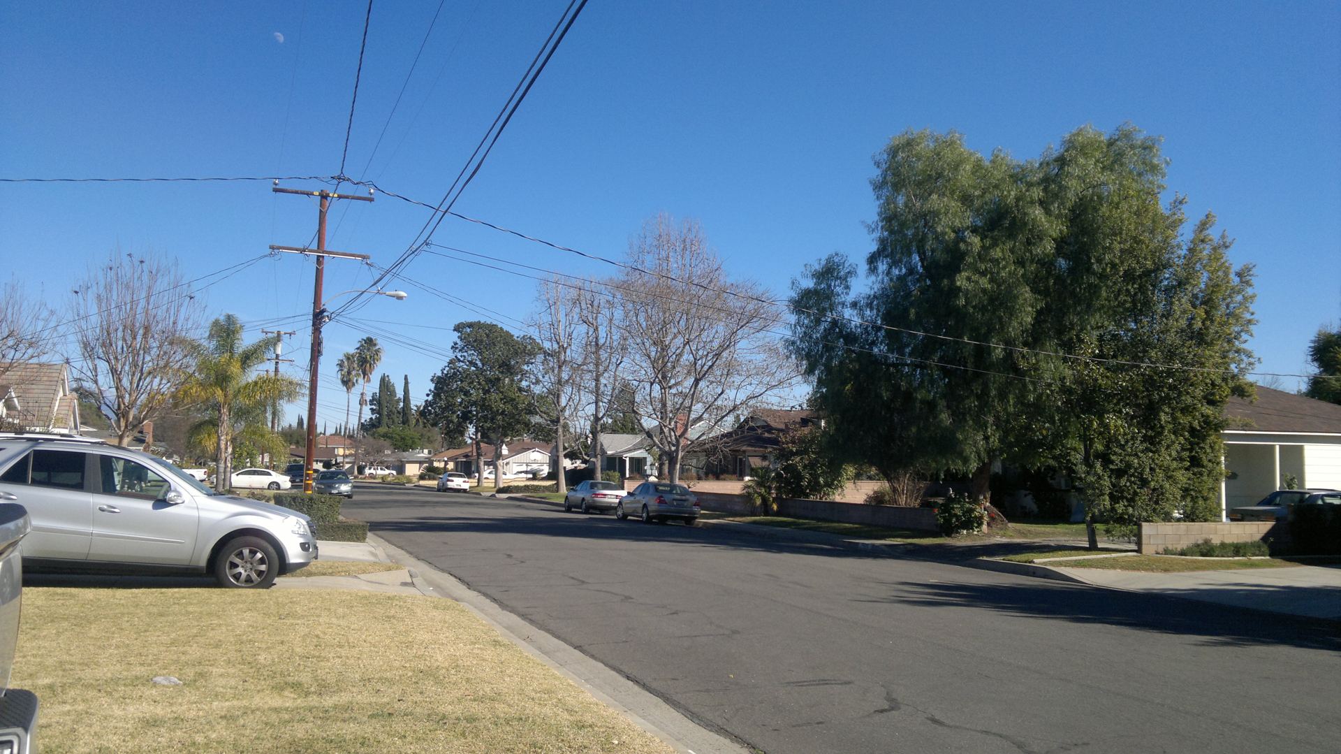 Detached homes and mature trees along a Temple City residential street