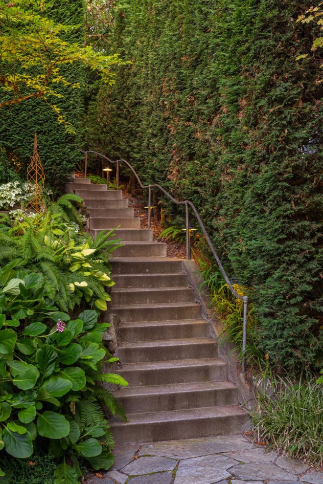 Stone steps wind through a lush garden bordered by tall hedges and ferns.