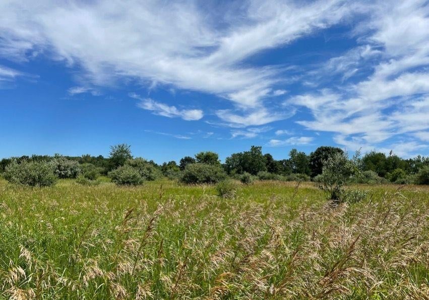 3582 Mantua Farms
