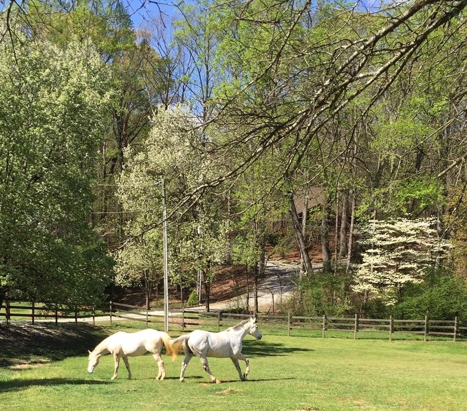 Great Oak Farm