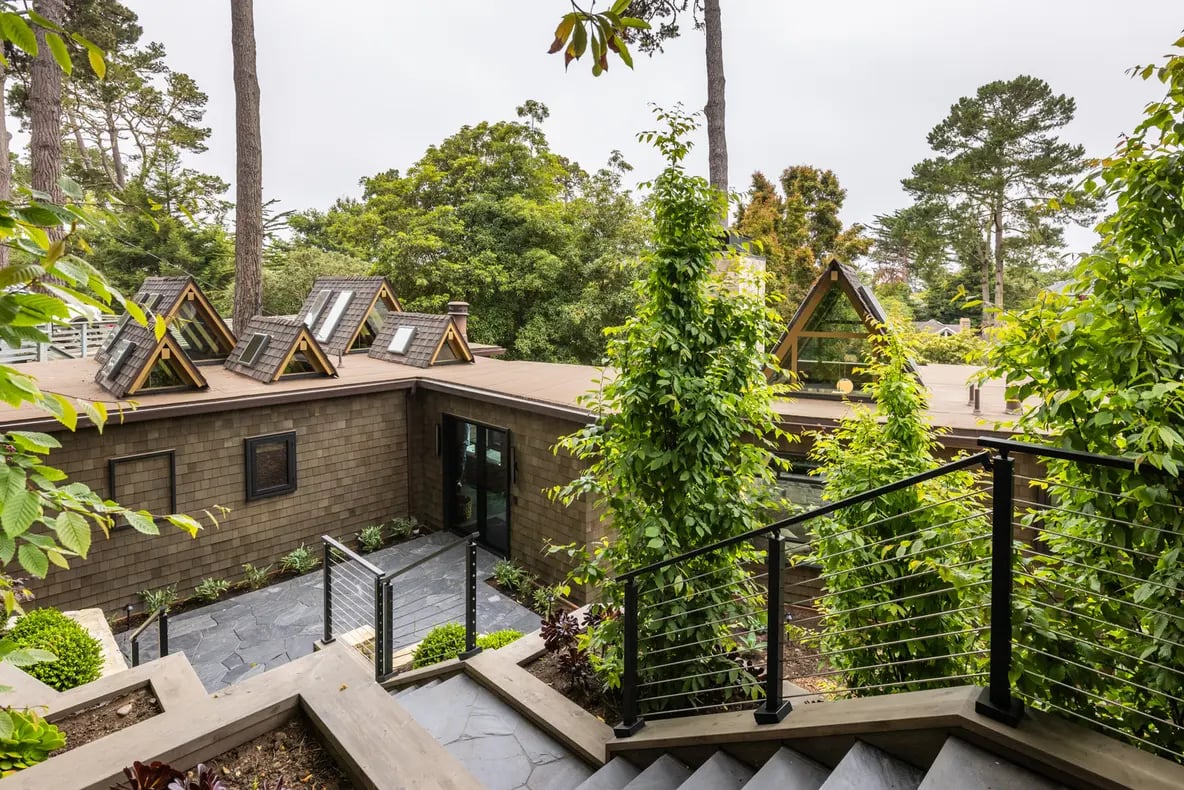 Treetops