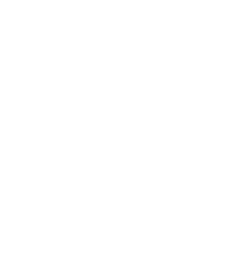Light Logo