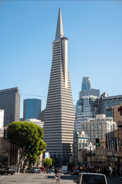 Cece's August 2025 Market Report