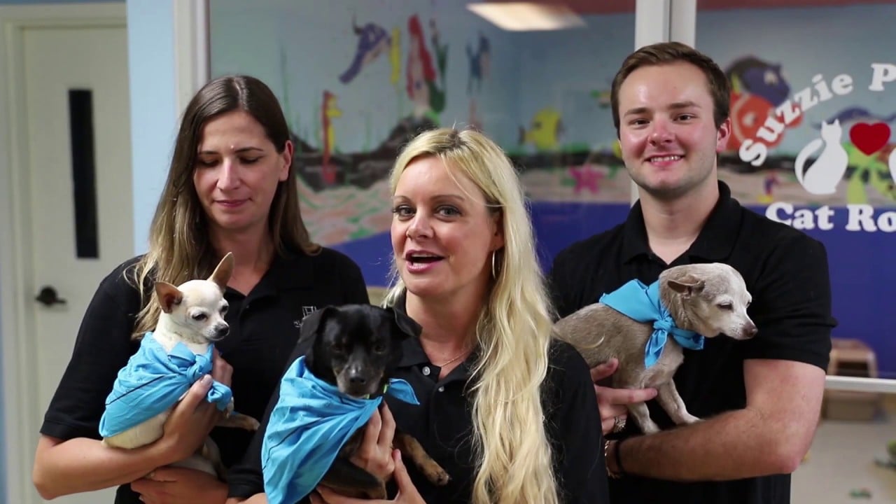 Pet Project - Ep 2