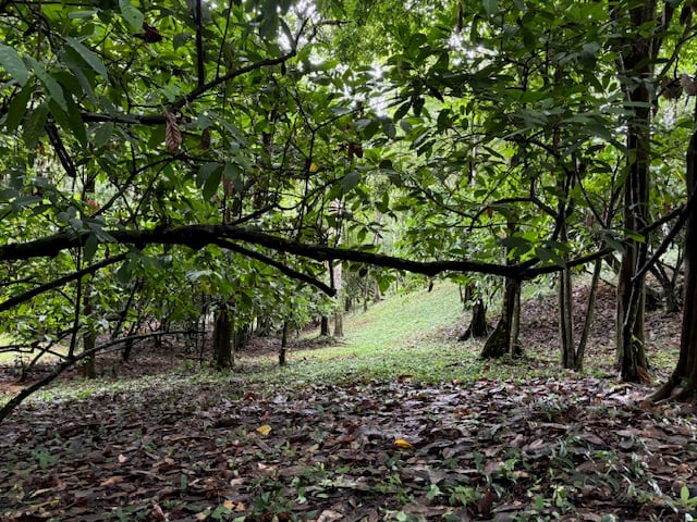 17.85 ACRES – Stunning Large Land With 2 Waterfalls Near Dominical Beach!!!