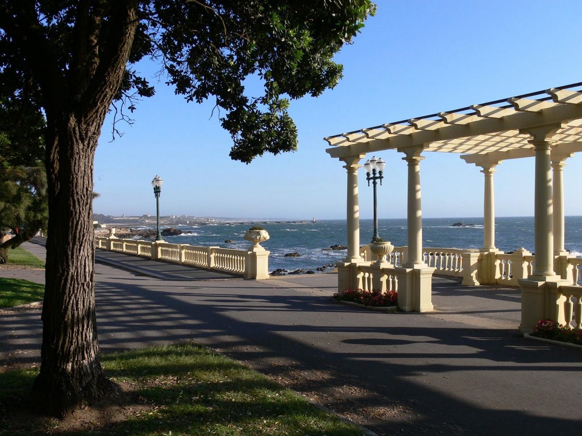 Life in Foz do Douro: