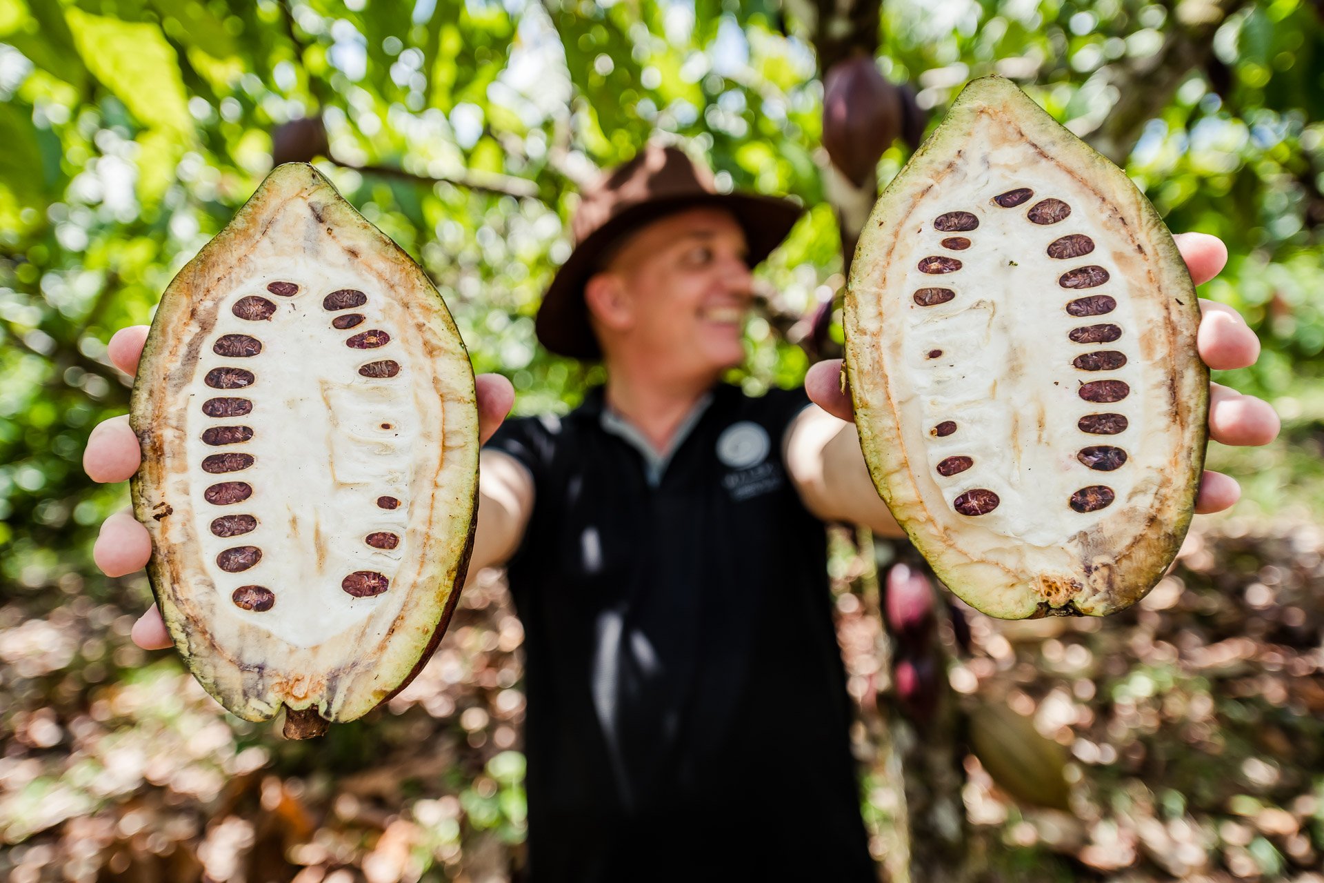 Blue Valley Cacao Farm | High-end gourmet chocolate production.