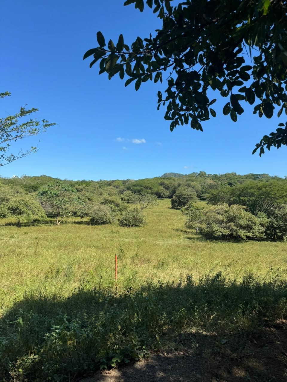 Shambala Estates Lot, Playa Avellanas
