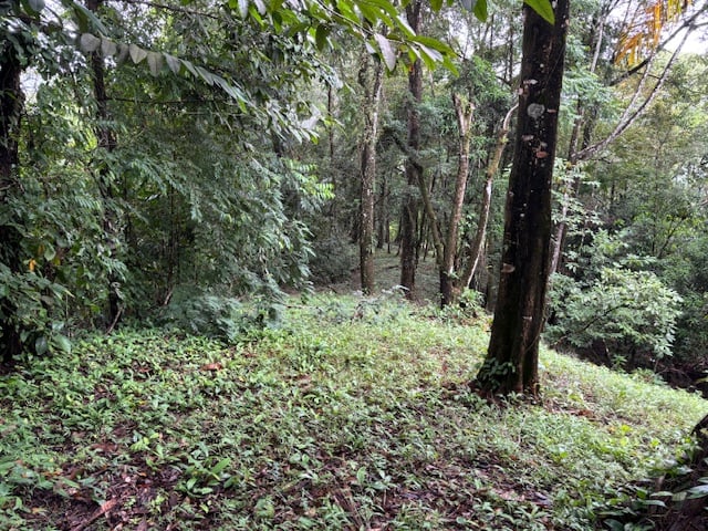 17.85 ACRES – Stunning Large Land With 2 Waterfalls Near Dominical Beach!!!
