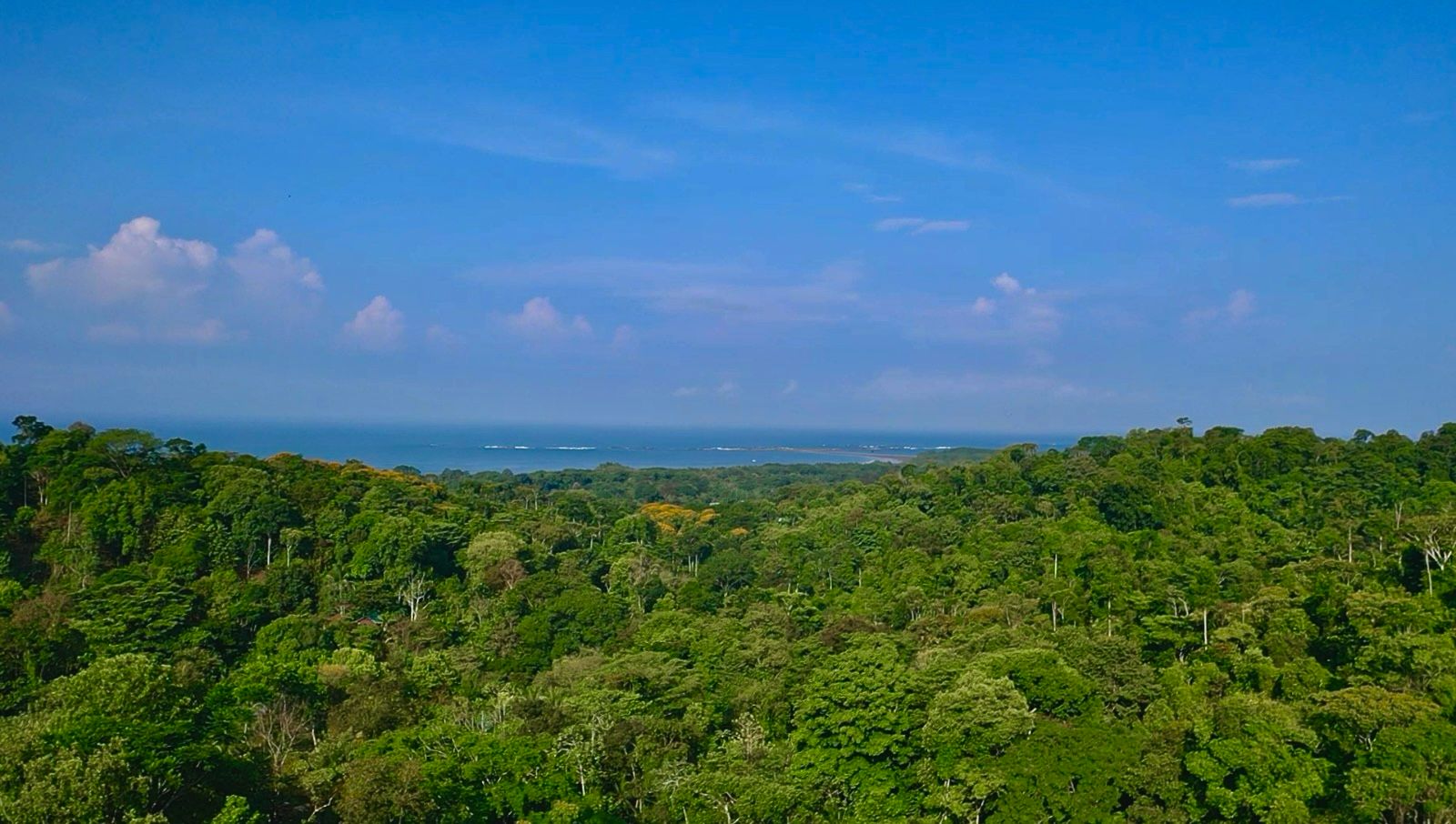 Prime Ocean and Whale tail View Development Land In Uvita