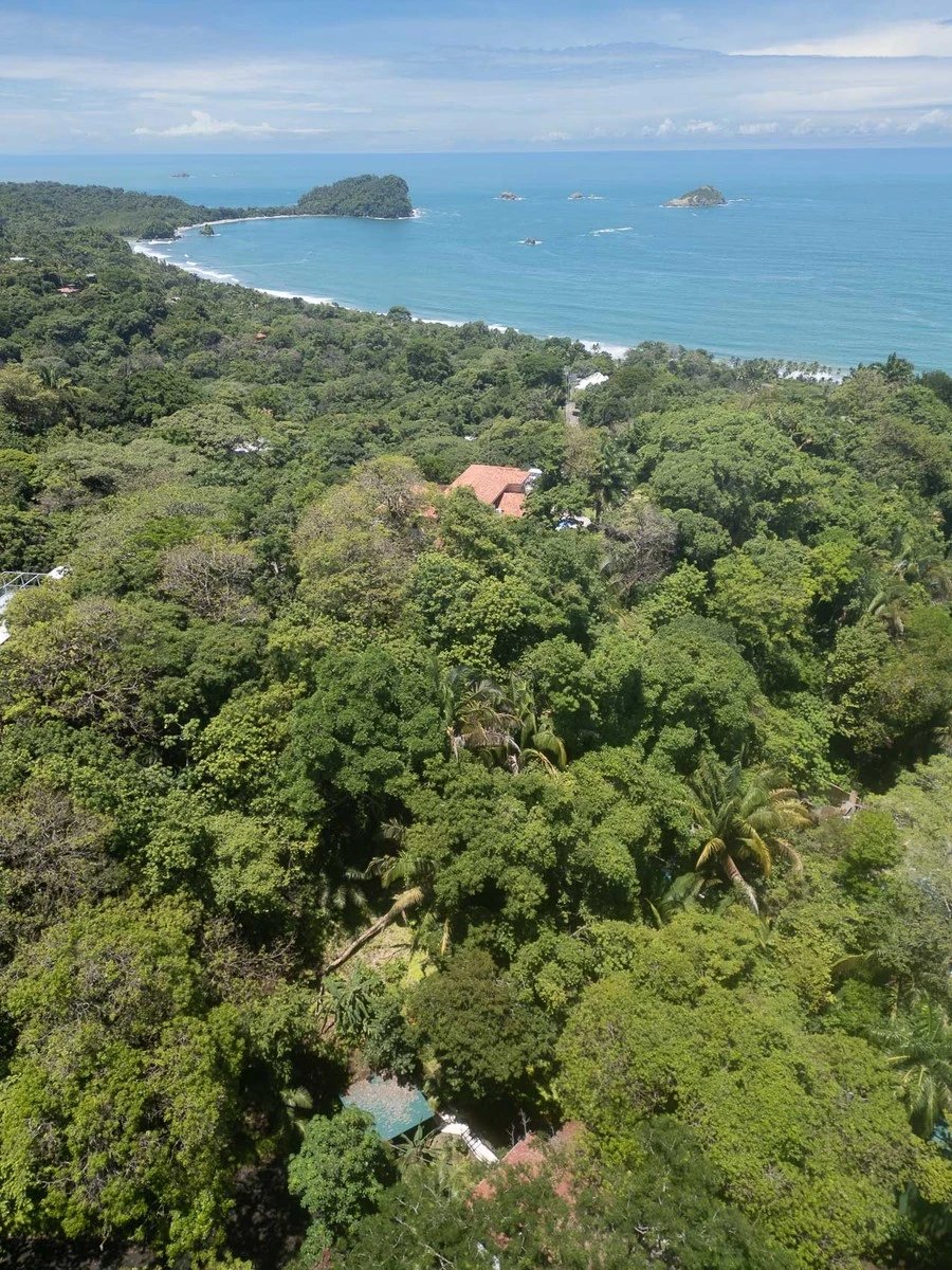 Ocean View Estate Property