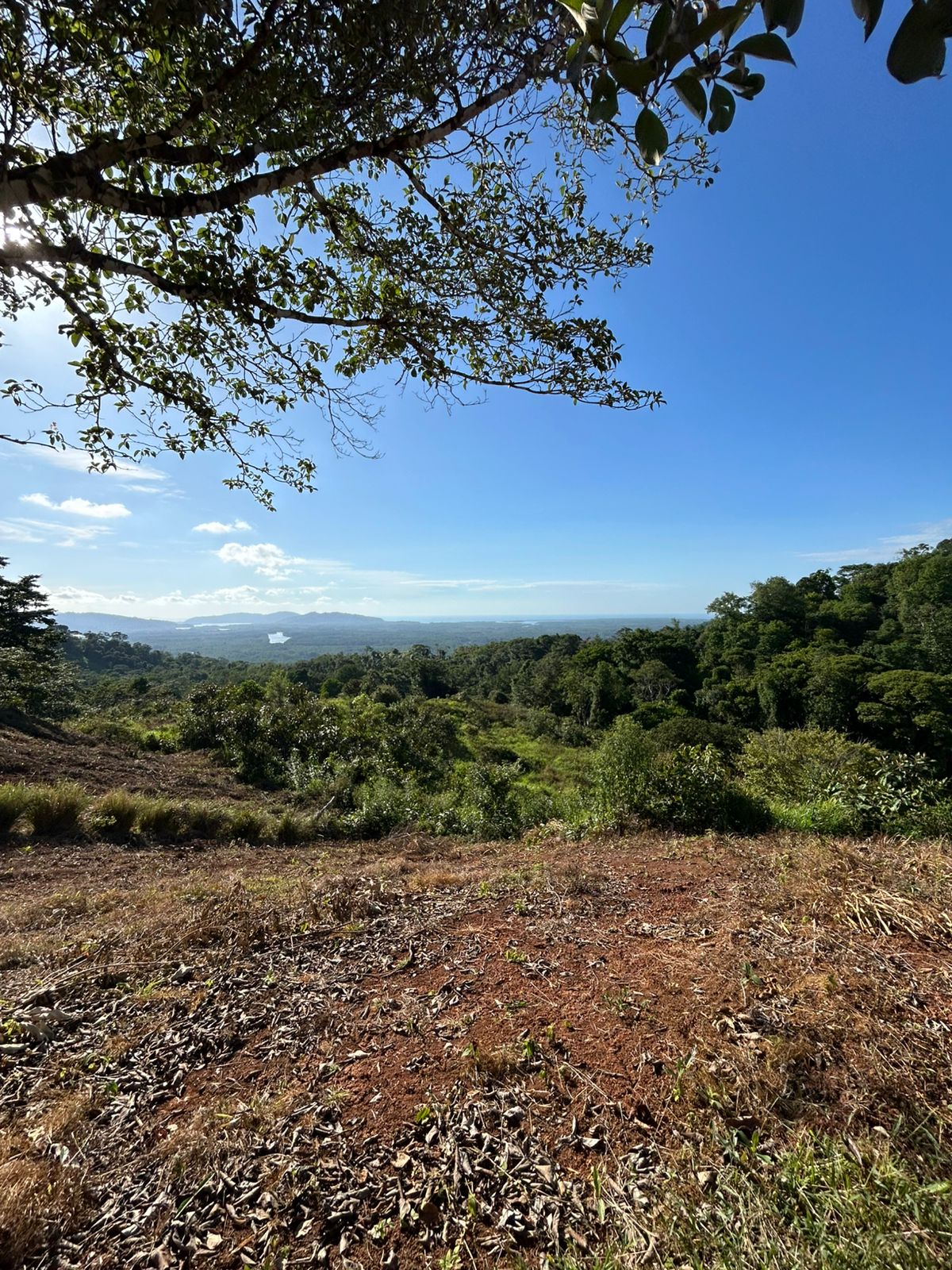 67 acres development (15 titled lots) with breathtaking views in Sierpe