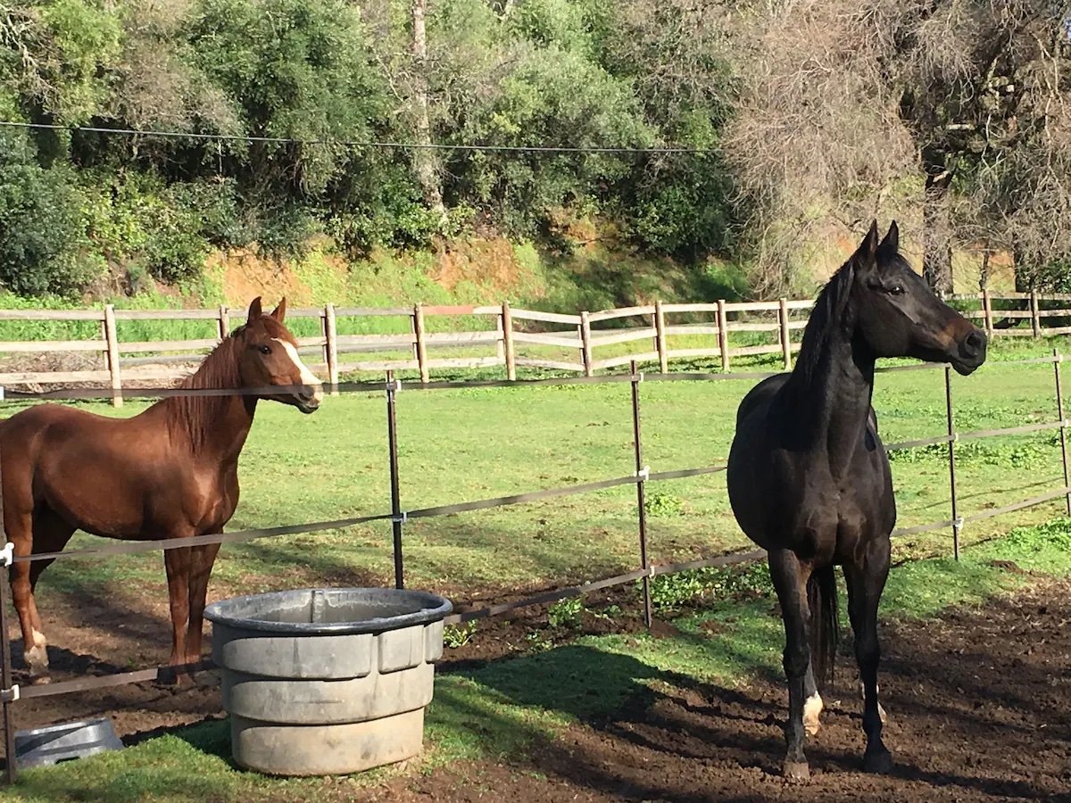 Whirlawind Ranch