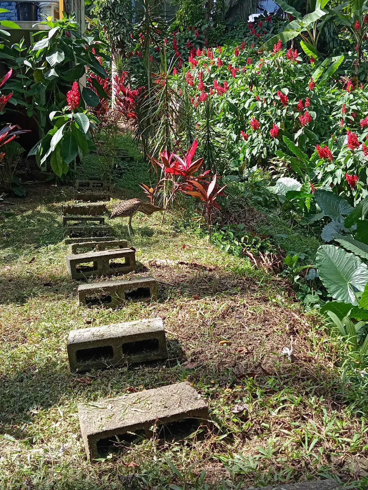 M. A. Ocean View Apt.