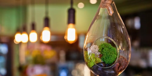 Eco-Friendly Home Features That Attract Buyers