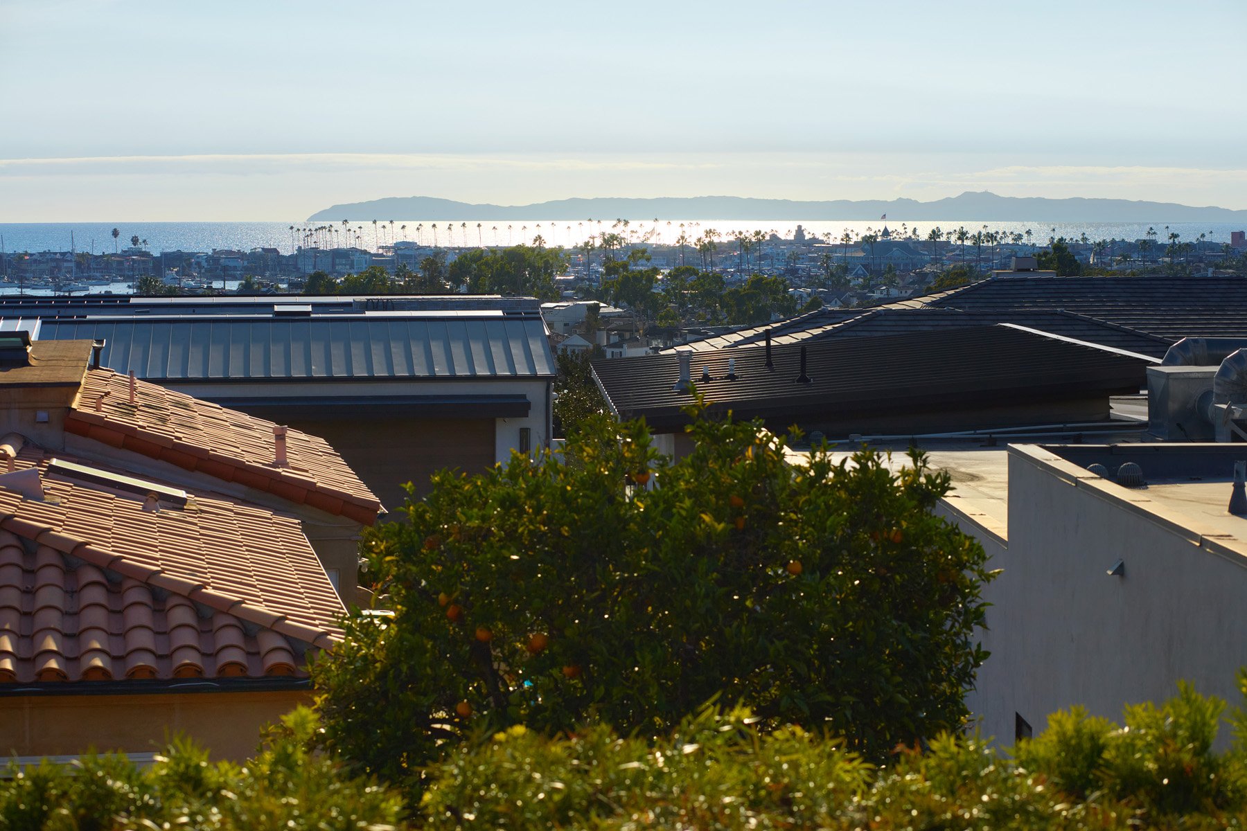 1501 Serenade Terrace