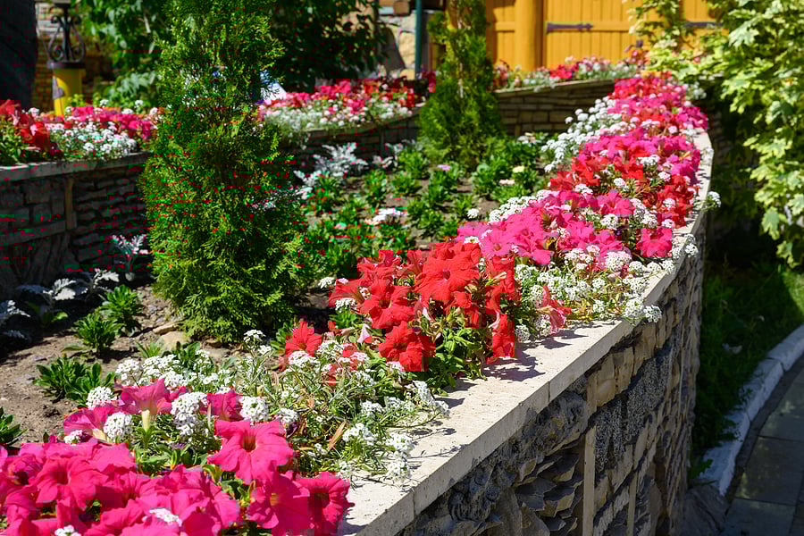 It’s Almost Spring – Let’s Add Some Color to Your Landscape
