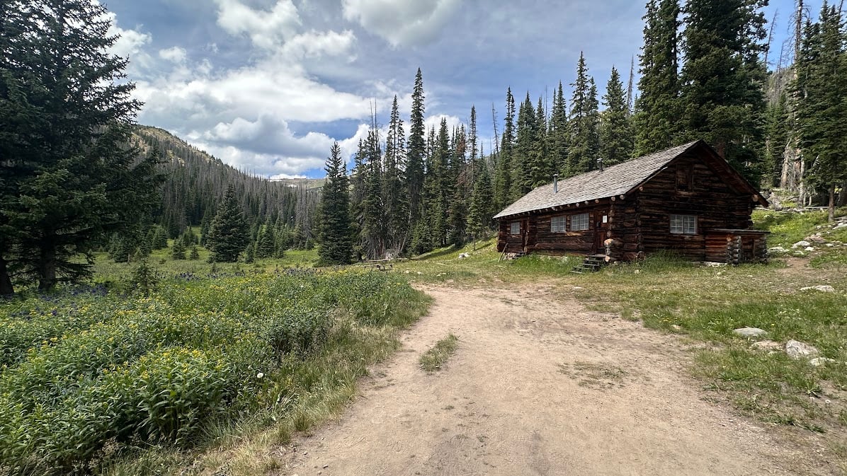 Driving Into the Wild: A Sensory Journey Along Old Fall River Road