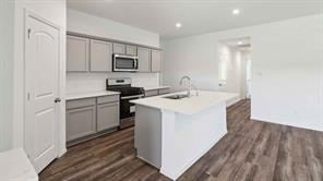 24852 King Palm Trce