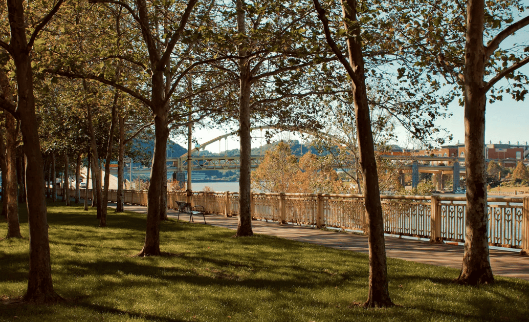 The Upper St. Clair Luxury Experience