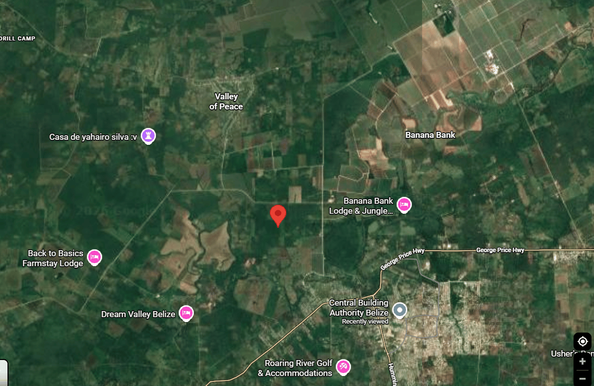 25 Acres Freehold Farm/Estate Land | 300+ ft Elevation | All-Weather Access | Cayo District | $375,000 USD