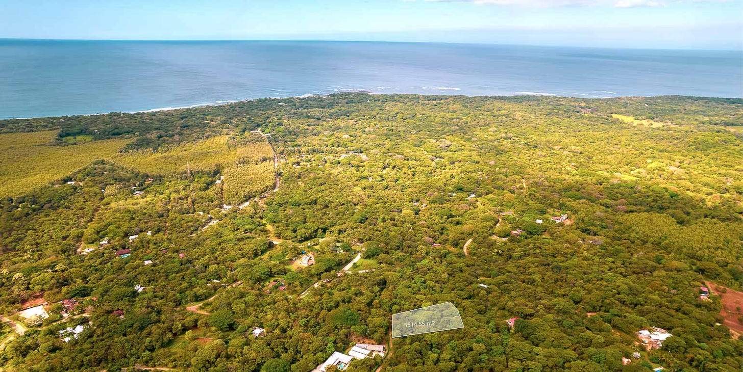 Caña Dulce | Home Modern & Conscious Living in Playa Negra