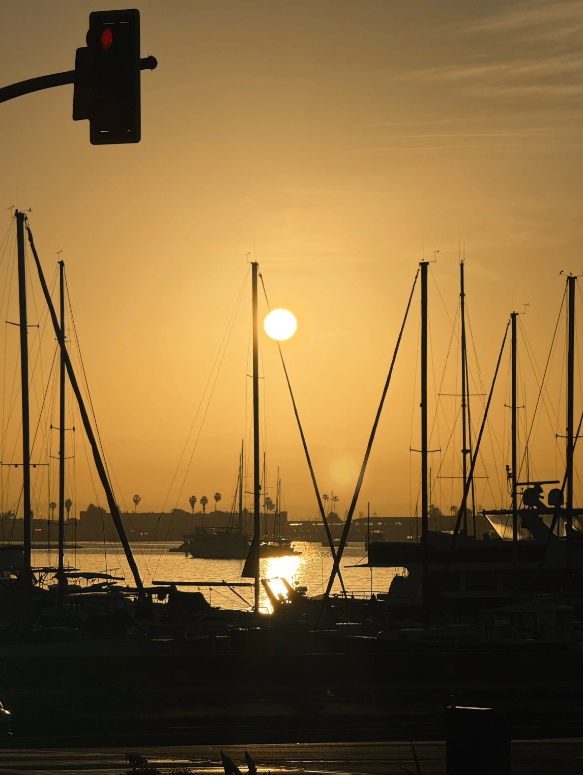 Market Update | Mar 19