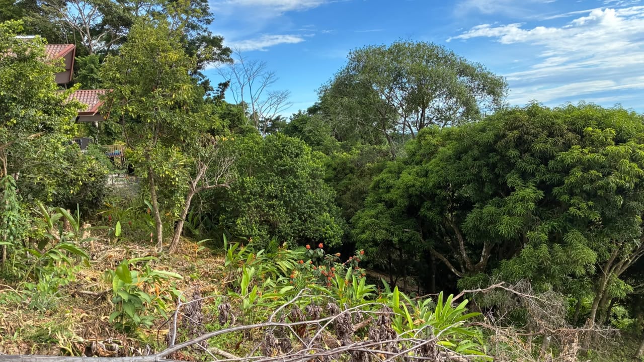 Beautiful Ocean View Lot in Ojochal Phase9