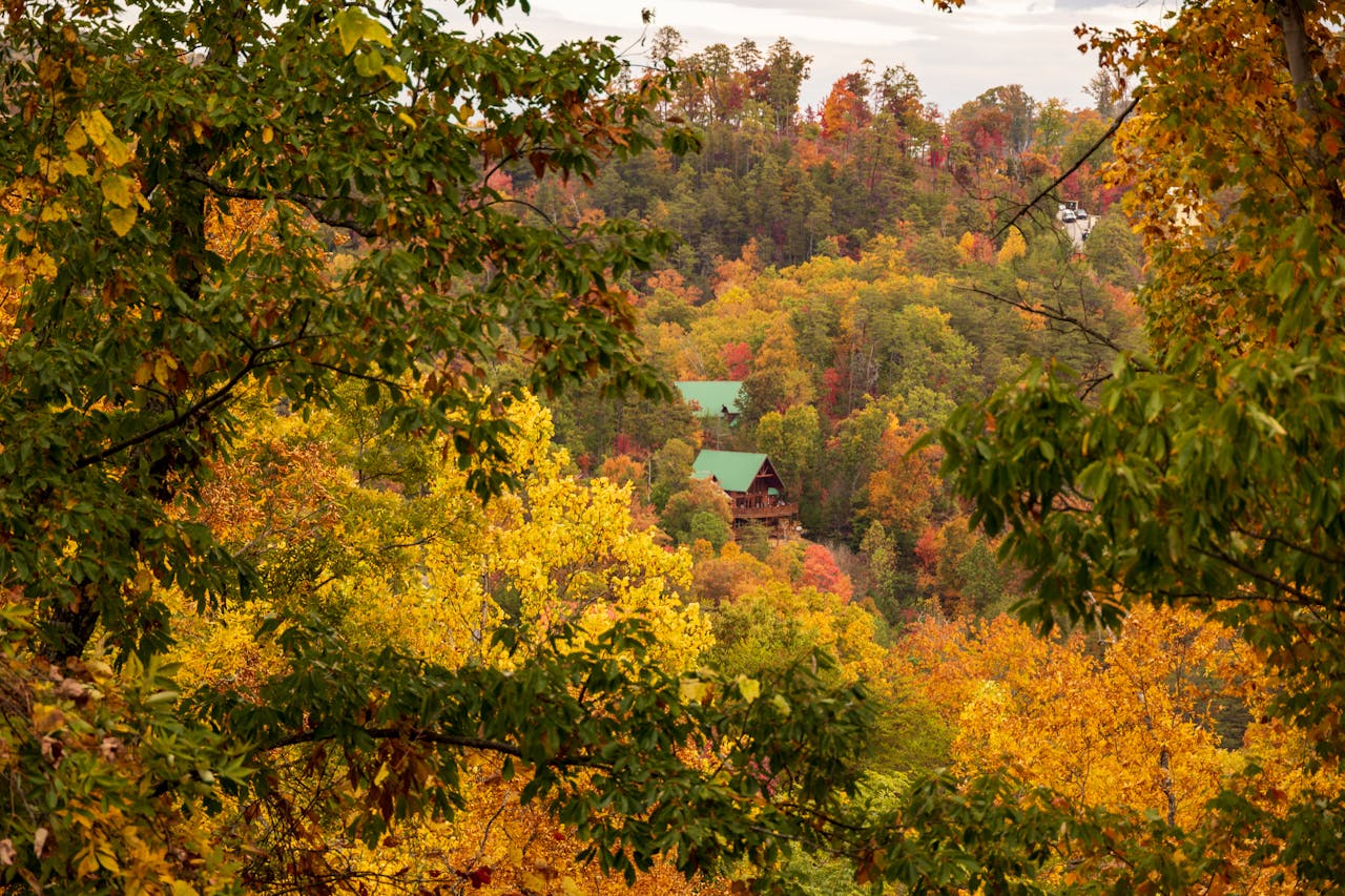 What Drives Strong Airbnb Returns in Pigeon Forge