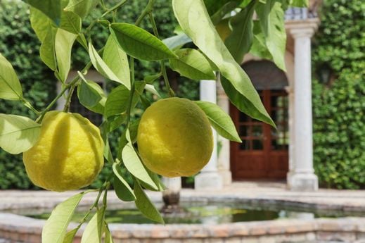 Luxury Villa Near Perugia with Pool