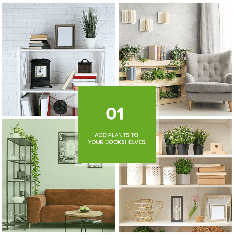 Tip 01: Add plants to your bookshelves.
