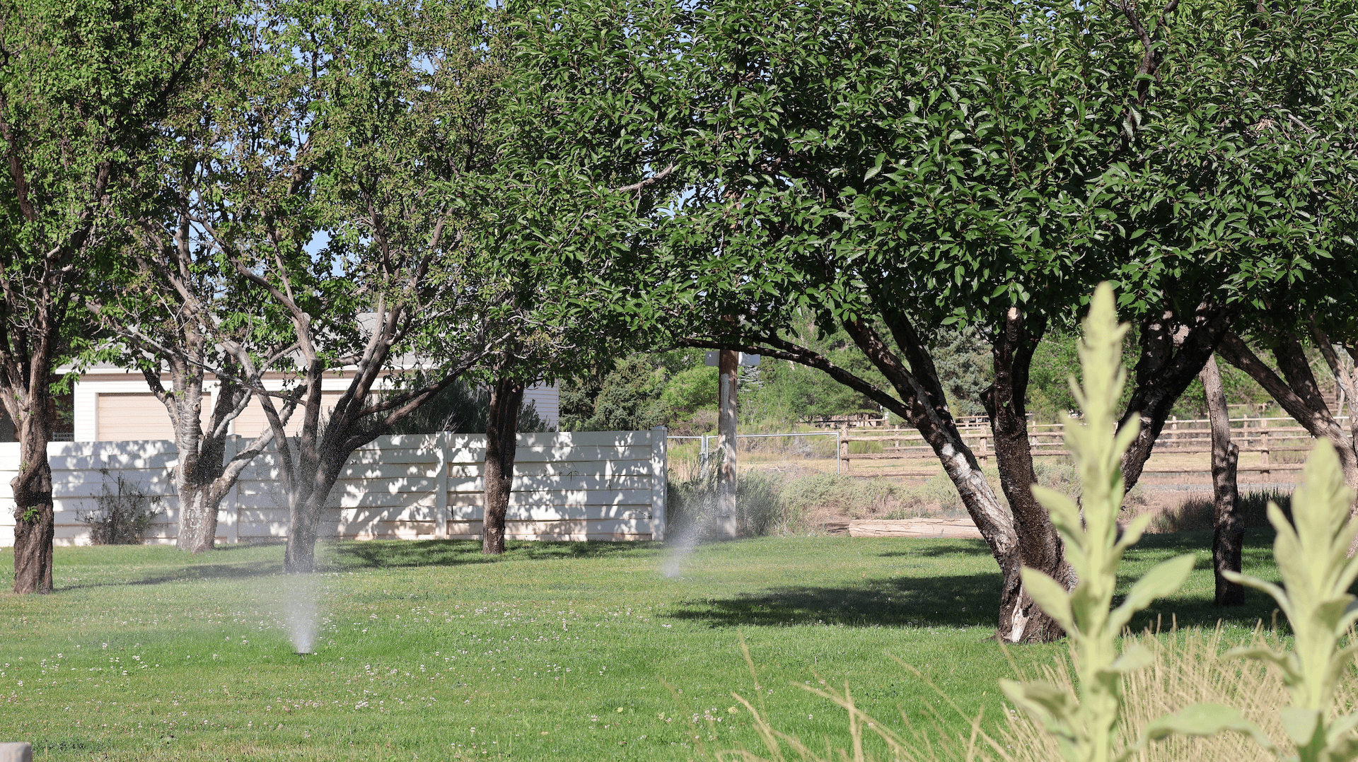 Torrey Land & Greenhouses