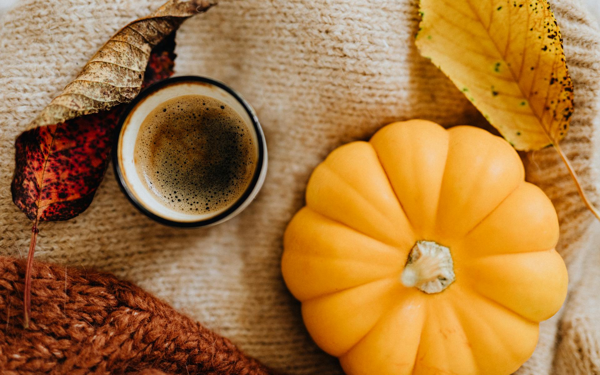 Elevate Your Pumpkin Spiced Latte
