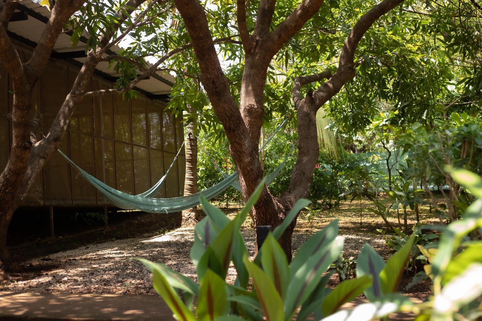 Drift Away Lodge | Near the Coast Hotel/Resort/Hostel For Sale in Playa Avellanas
