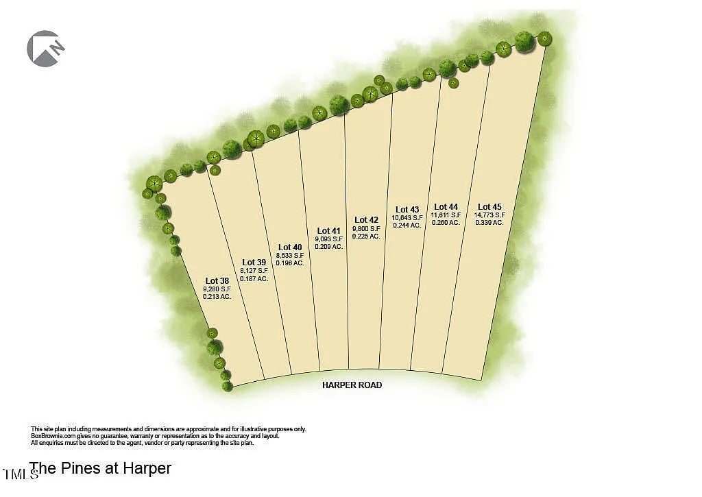 Pines at Harper