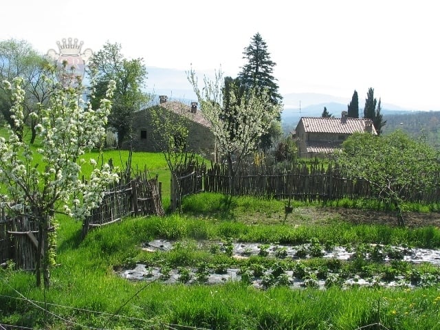 Farm and Estate for Sale in Tuscany