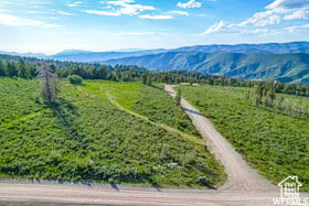 17602 S Wolf Creek Cir