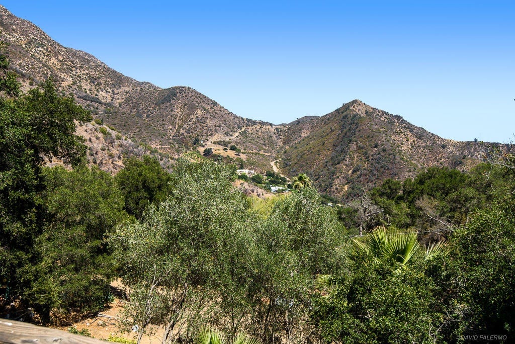 1150 Toro Canyon