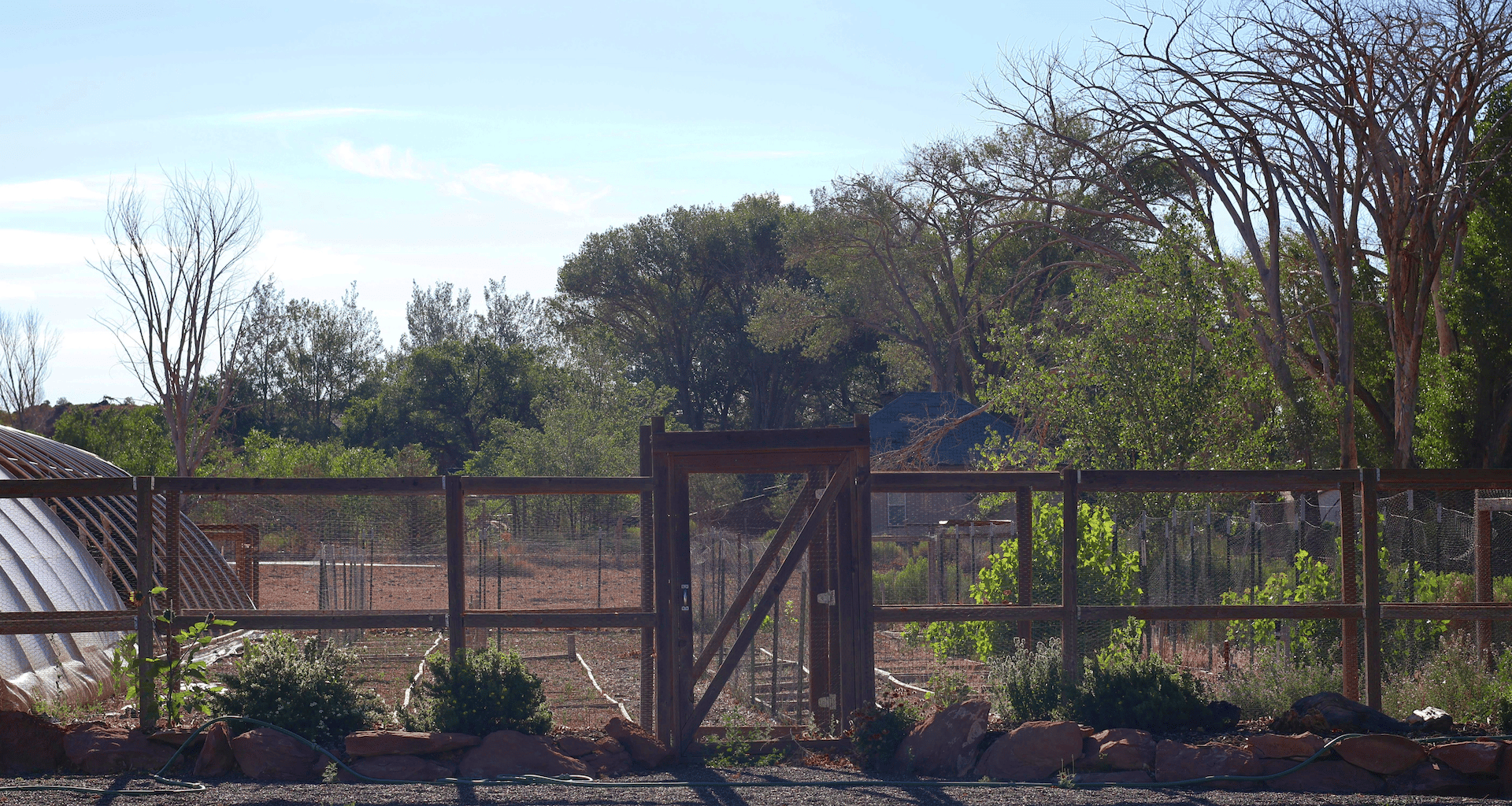 Torrey Land & Greenhouses