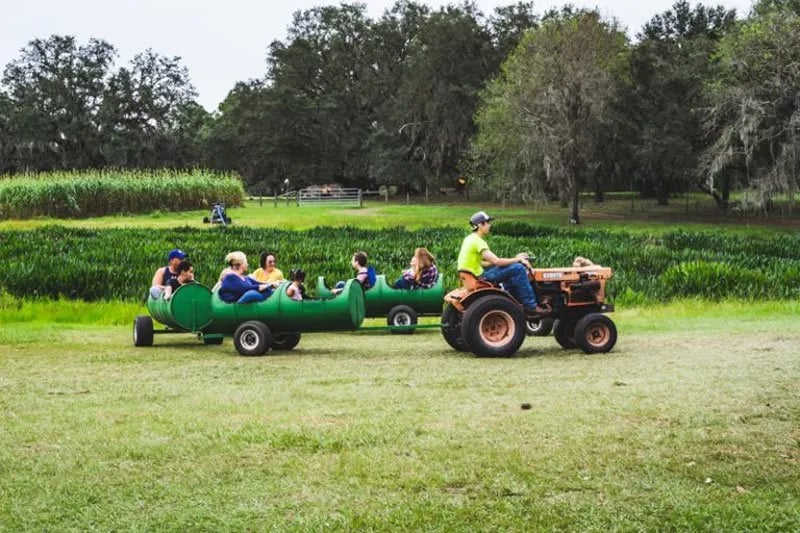 🎃 Fall Fun in Lakeland, Florida: Pumpkin Patches, Corn Mazes, & Family Events This October
