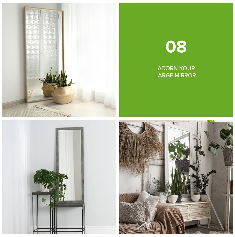 9 Refreshing Ways To Decorate Your Home With Plants
