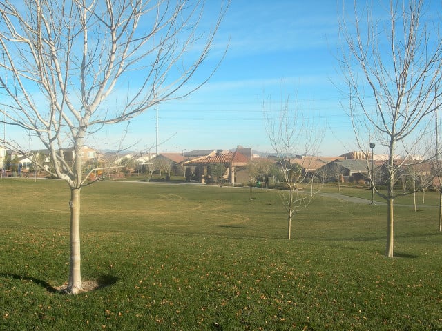 Ridgebrook