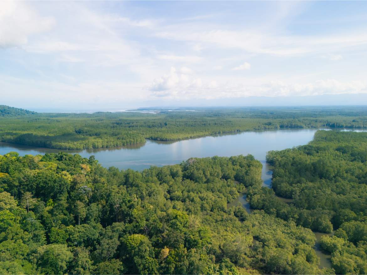 247 Acres of Riverfront Rainforest with Hospitality Potential - Sarangundí Eco-Development Sanctuary Near Corcovado