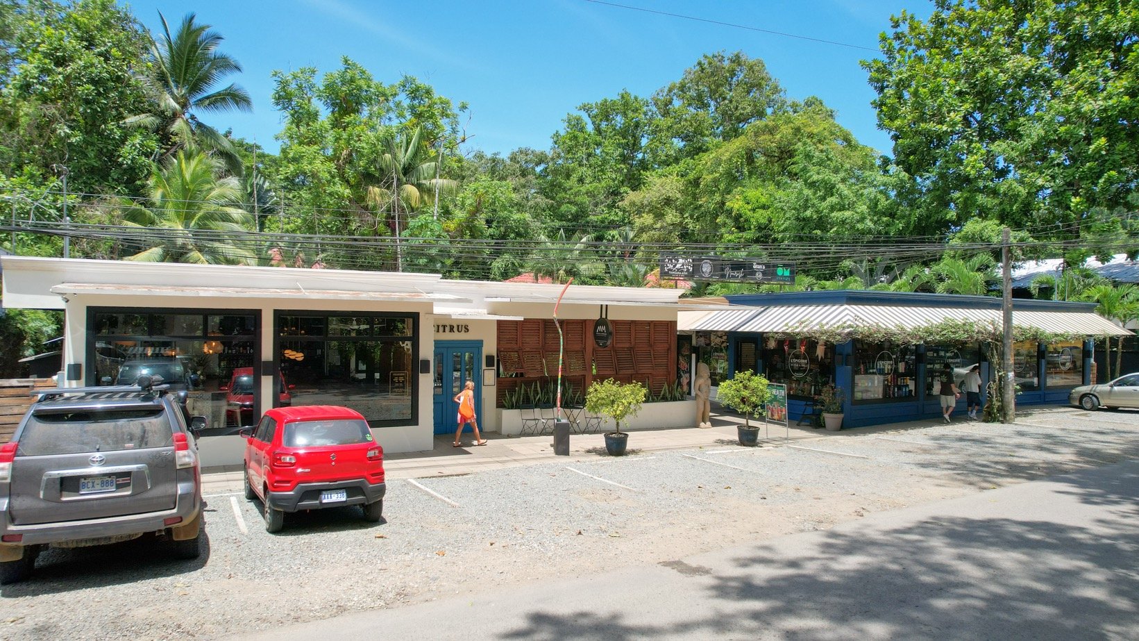 Restaurant for Sale in Ojochal, Costa Rica | Citrus Culinary Legacy & Business Opportunity
