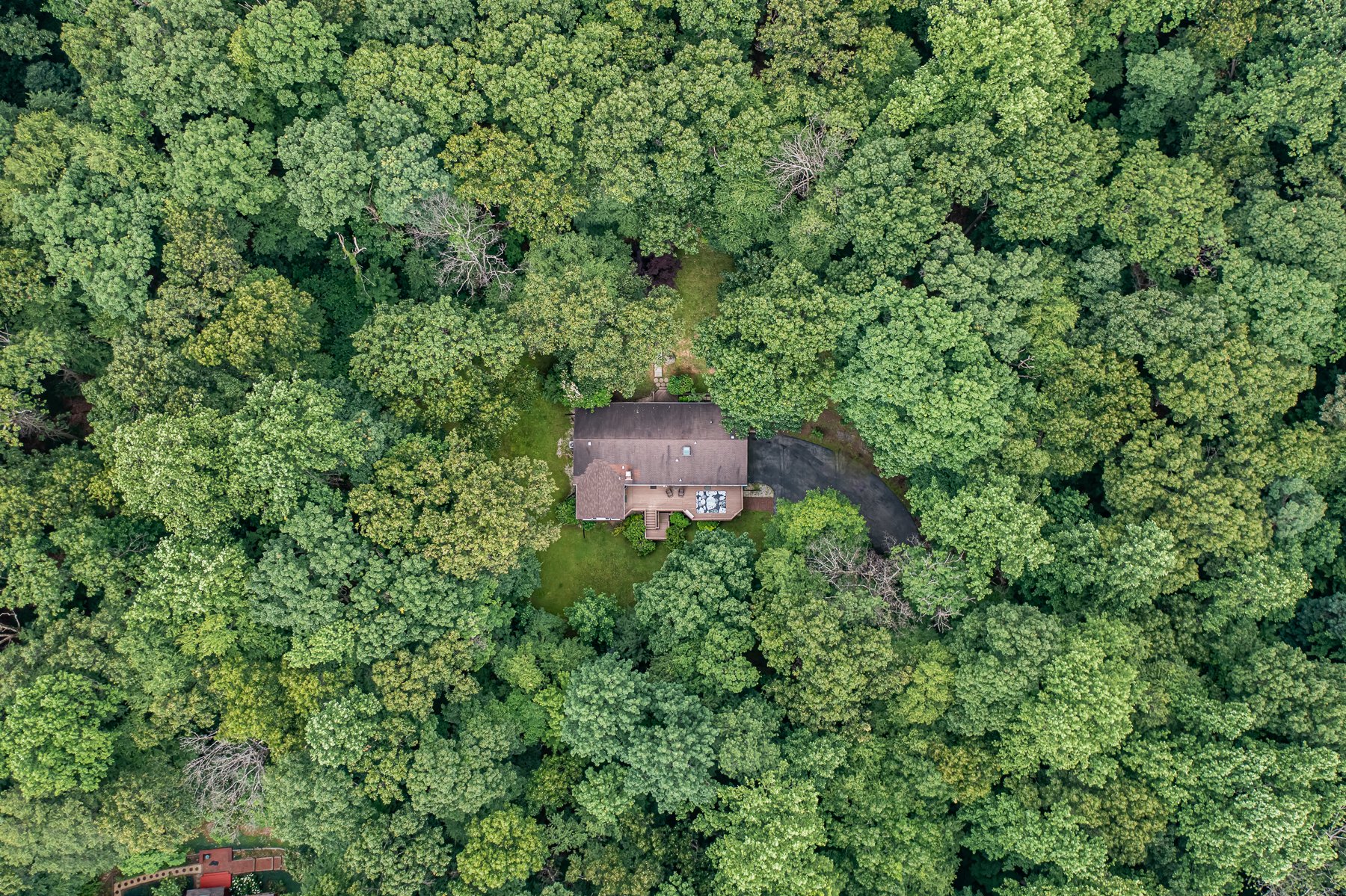 3117 Aspen Lane