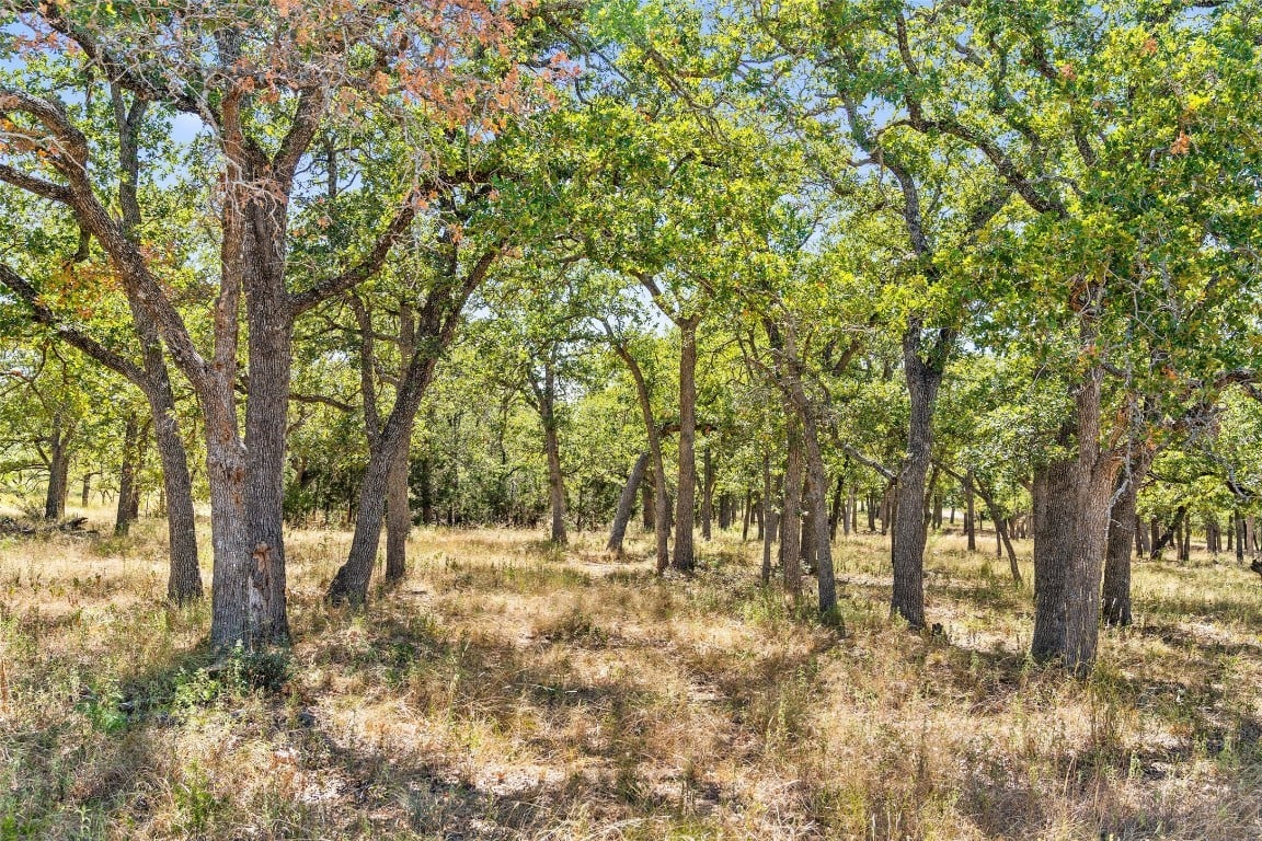 18.145 Acres Herber-schaefer Rd